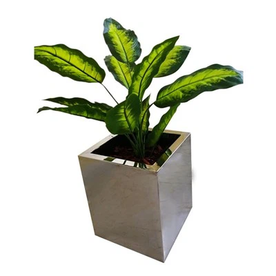 Stainless hlau Decorative cog lauj kaub